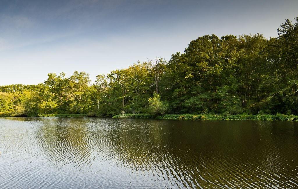 21 Hiscox Road, Westerly, RI 02891 MLS 1259174 Lila Delman